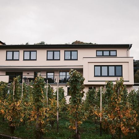 ライルWeingut Meurerアパートメント エクステリア 写真