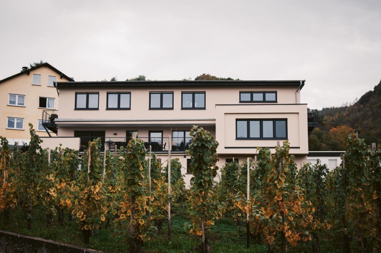 ライルWeingut Meurerアパートメント エクステリア 写真